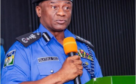 Alagbon Probe Stalls as Nigerian-American Seeks IGP's Intervention Over Alleged Threat to Life by Lagos Lawmaker ...Commends IGP Tunji Disu's professionalism, urges impartial investigation