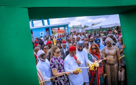 Gov. Uzodimma Commends NASENI as Agency Commissions Skills Acquisition Centre in Imo
