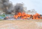 NDLEA Torches N301BN Drugs in Lagos, Vows To Chrush Cartels  …. Drug barons, financiers have nowhere to hide
