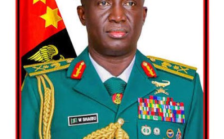 COAS Appoints GOCs as Nigerian Army Expands with Four New Divisions