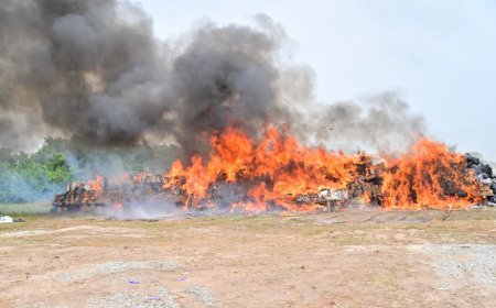 NDLEA Torches N301BN Drugs in Lagos, Vows To Chrush Cartels  …. Drug barons, financiers have nowhere to hide