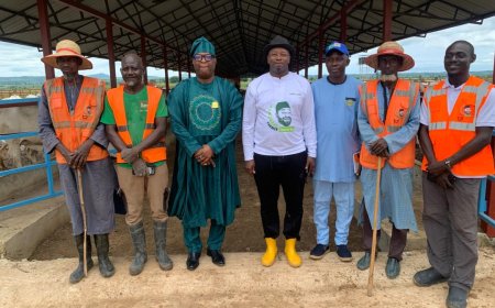 Adron Group Bridges Real Estate, Agriculture Through Partnership Talks with Niger Foods Breeding, Feedlot Center