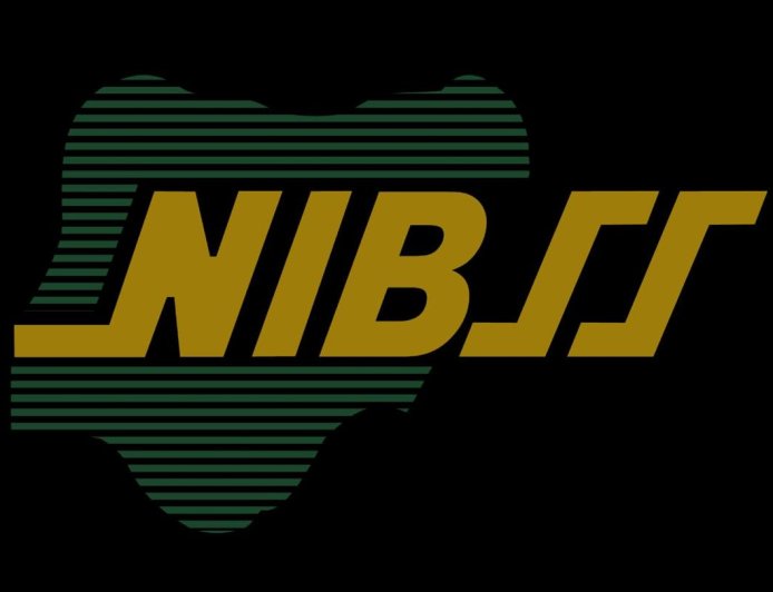 NPS Processes Over 26 Million Transactions as First Bank and Fidelity Bank Lead in Volume and Value