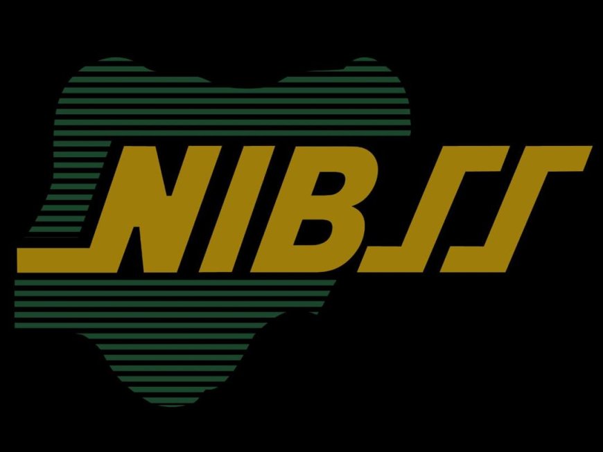 NPS Processes Over 26 Million Transactions as First Bank and Fidelity Bank Lead in Volume and Value